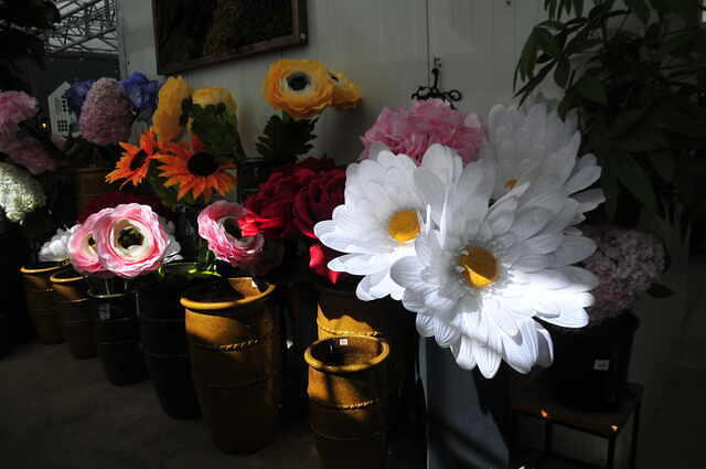 11 Bloom 26